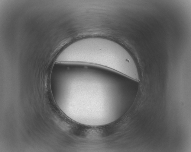 X0000078000115200610271023