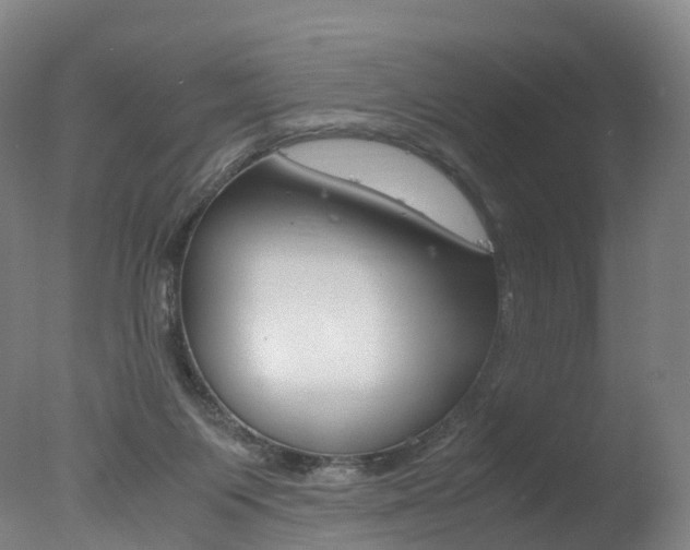 X0000078000119200610271023
