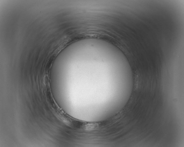 X0000078000126200610271023