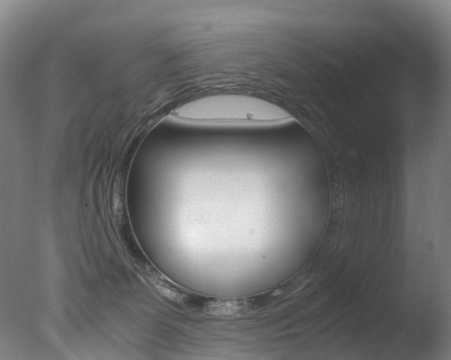 X0000078000131200610271022