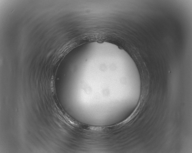 X0000078000144200610271022