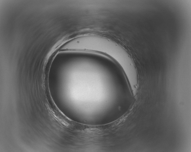 X0000078000150200610271022