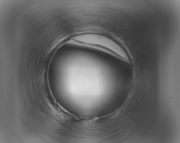 X0000078000154200610271022