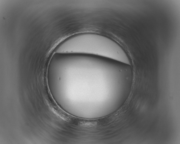 X0000078000155200610271022