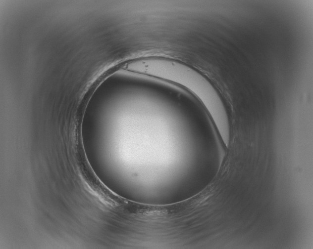X0000078000156200610271022