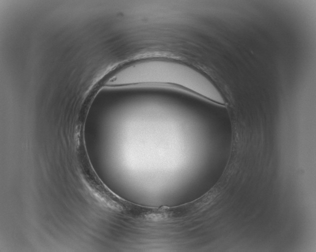X0000078000160200610271022