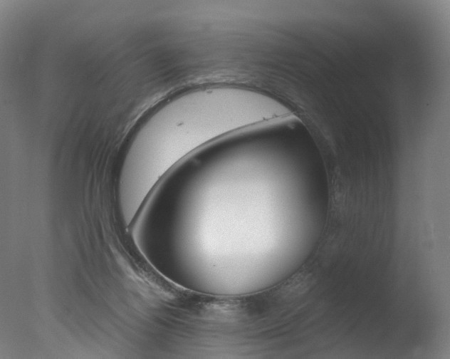 X0000078000164200610271022