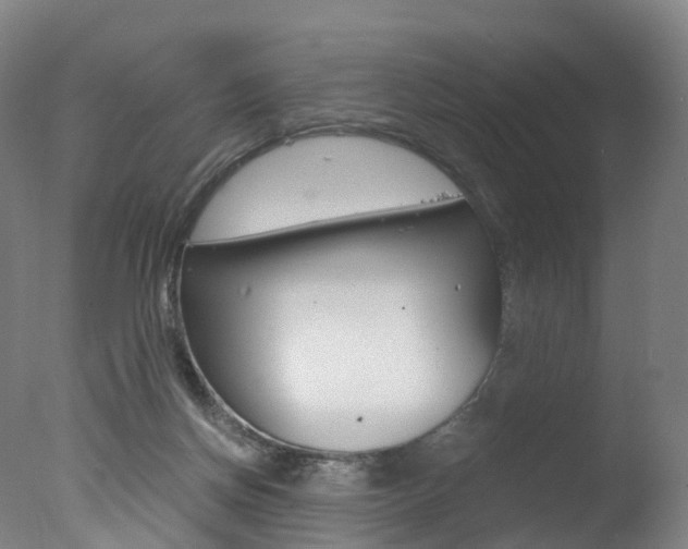 X0000078000166200610271022
