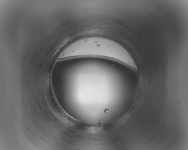 X0000078000168200610271022