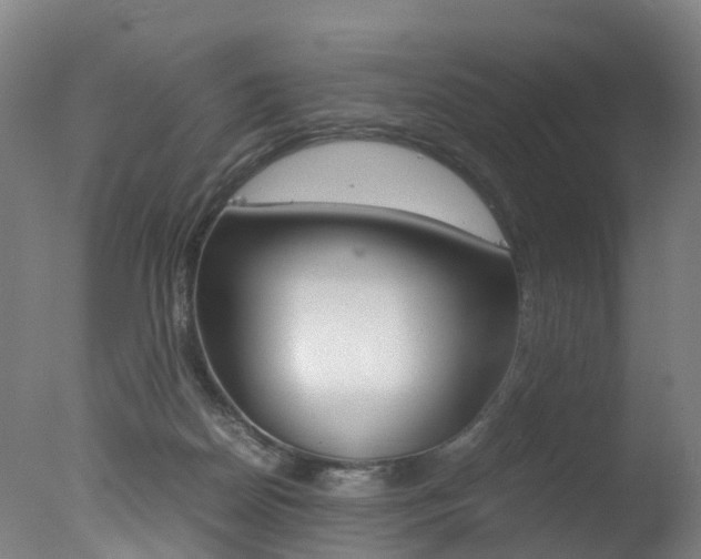X0000078000170200610271022