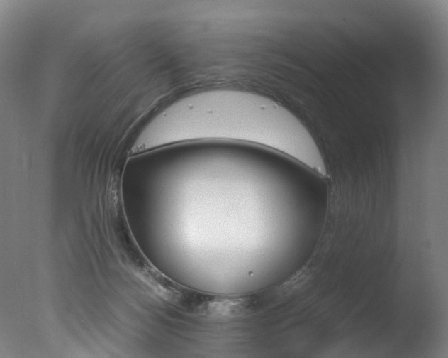 X0000078000172200610271022