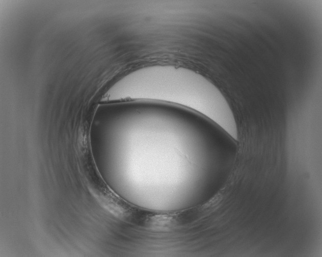 X0000078000176200610271022