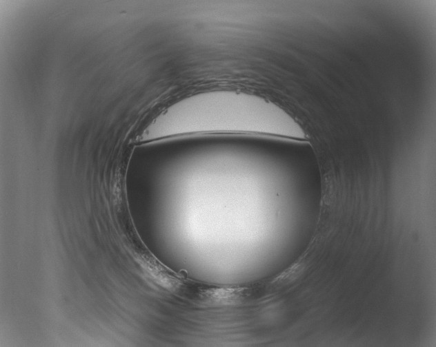 X0000078000184200610271022