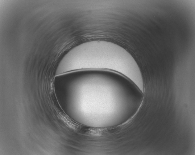 X0000078000190200610271022