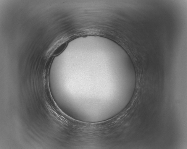 X0000078000194200610271021