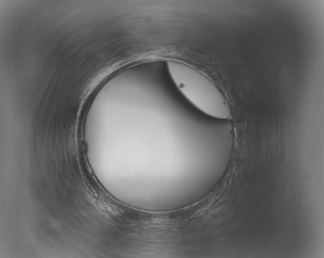 X0000078000196200610271021