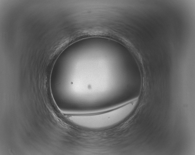 X0000078000201200610271021