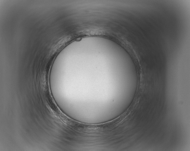 X0000078000202200610271021