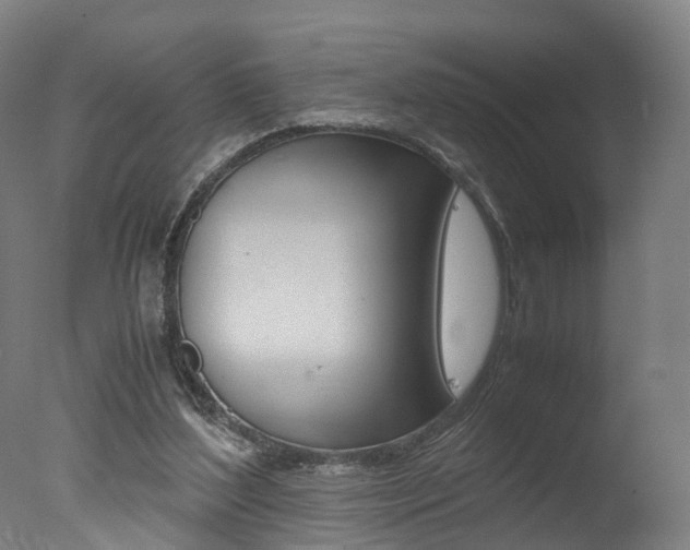 X0000078000204200610271021