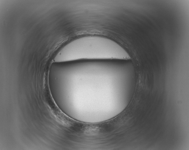 X0000078000206200610271021