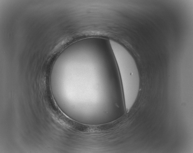 X0000078000207200610271021