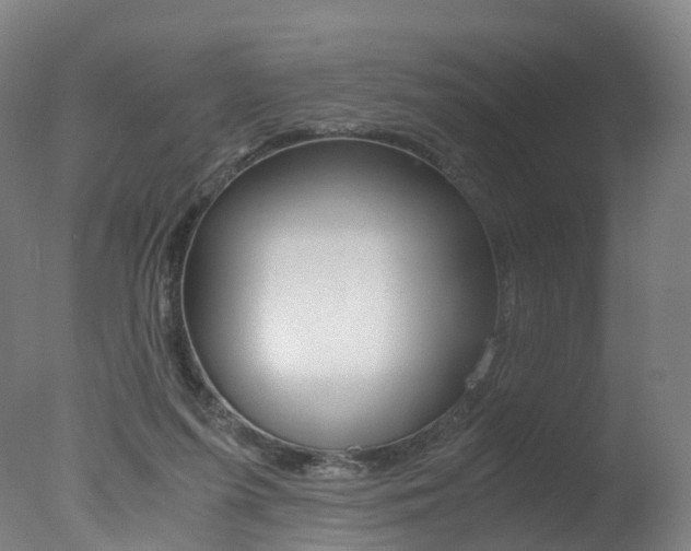 X0000078000215200610271021