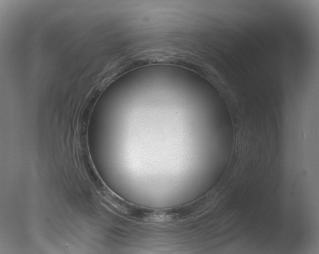 X0000078000217200610271021