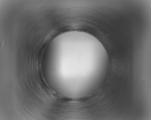 X0000078000220200610271021