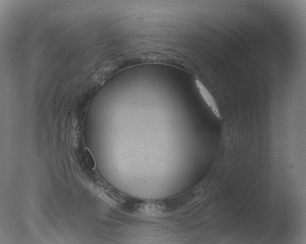 X0000078000223200610271021