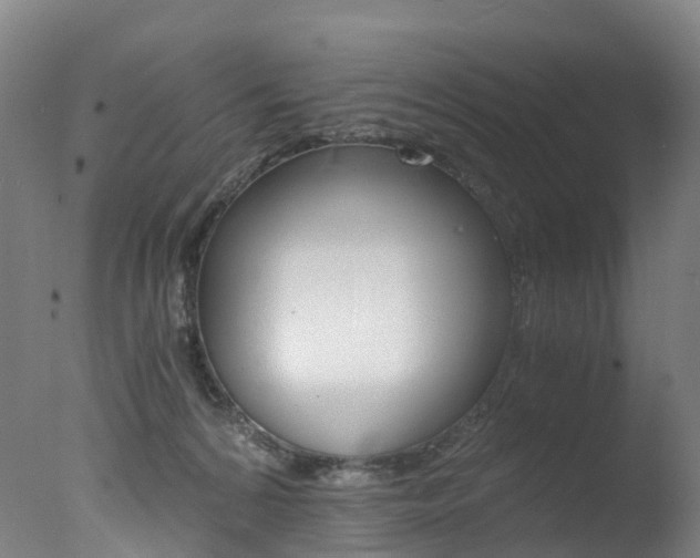 X0000078000224200610271021