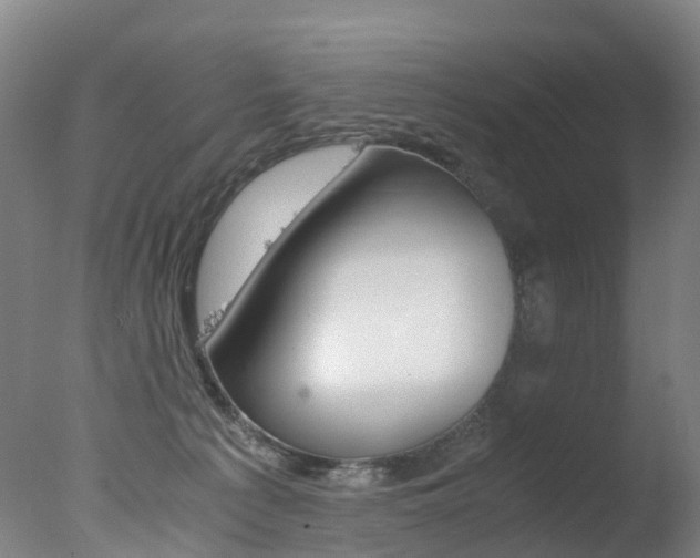 X0000078000225200610271021
