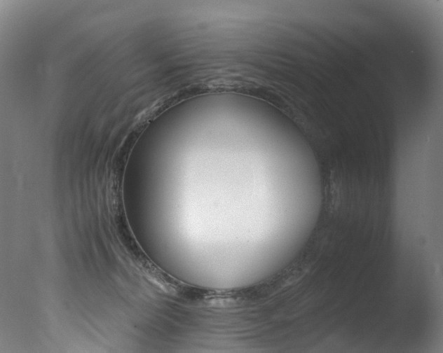 X0000078000228200610271021