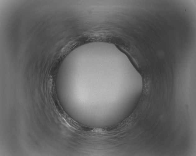 X0000078000231200610271021