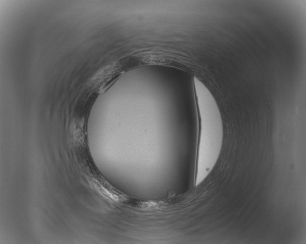 X0000078000239200610271021