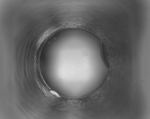 X0000078000242200610271020