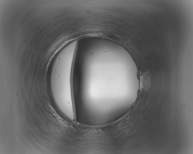 X0000078000243200610271020