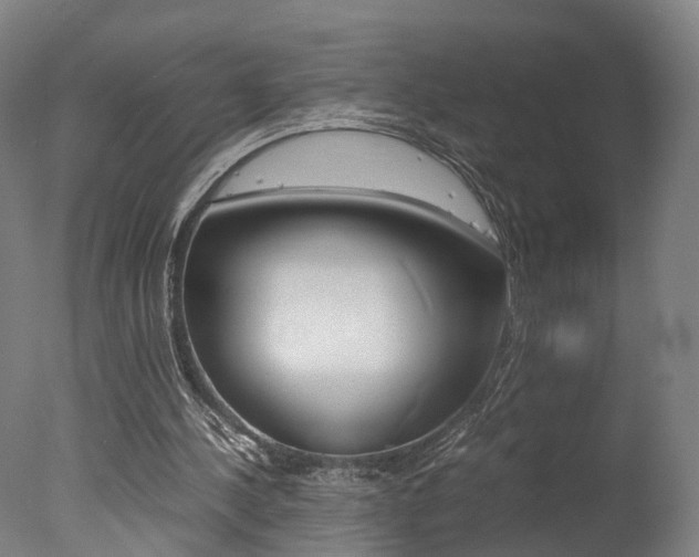 X0000078000244200610271020