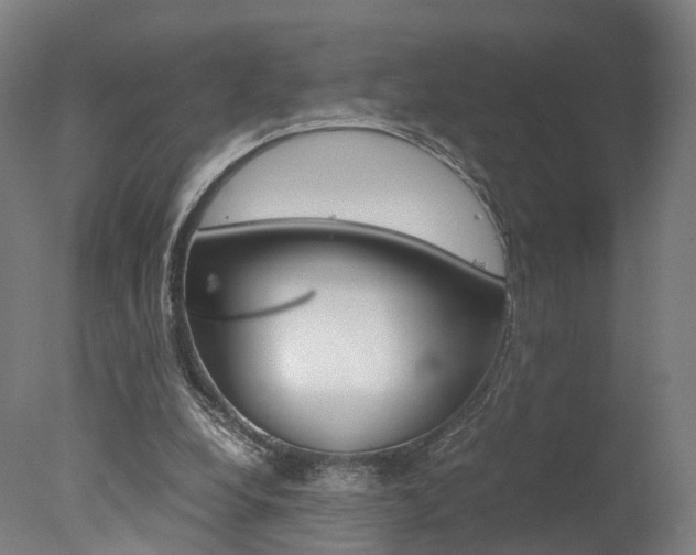 X0000078000248200610271020