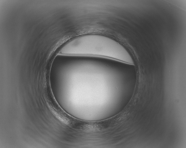 X0000078000250200610271020