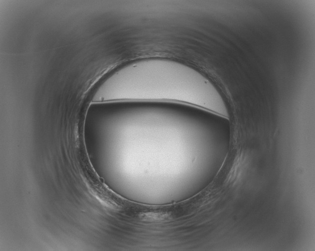 X0000078000251200610271020