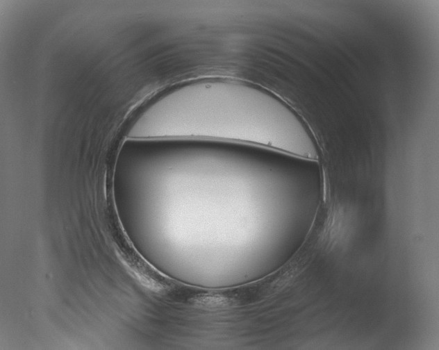 X0000078000253200610271020
