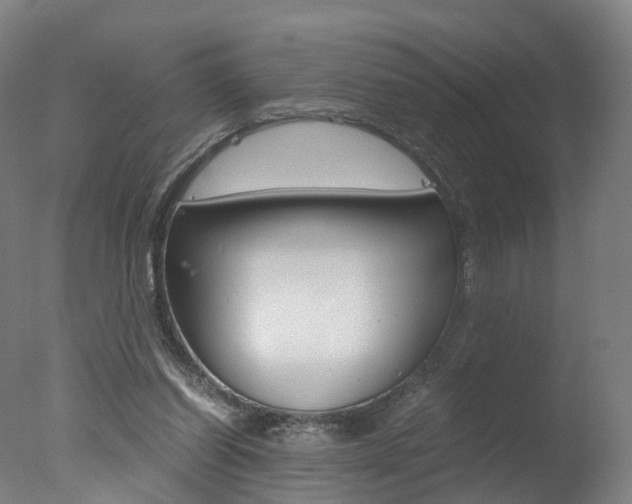 X0000078000254200610271020