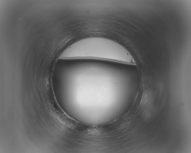 X0000078000259200610271020