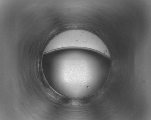 X0000078000264200610271020