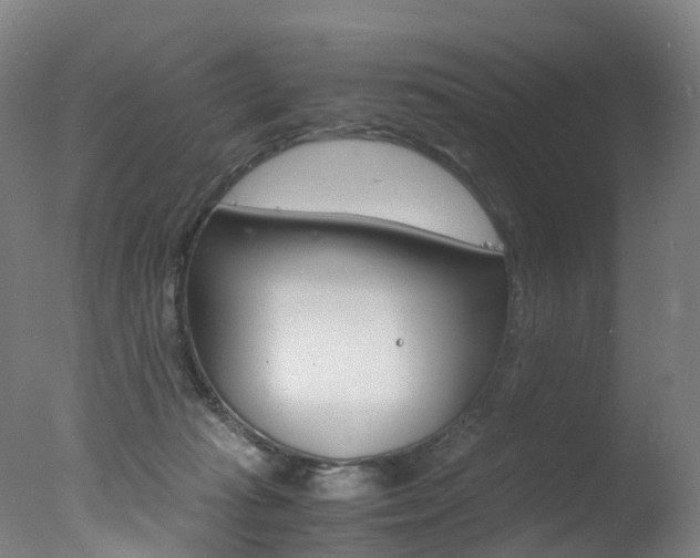 X0000078000269200610271020