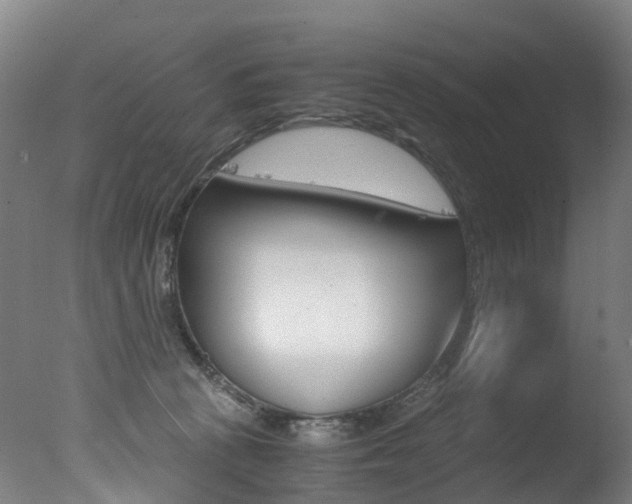 X0000078000273200610271020
