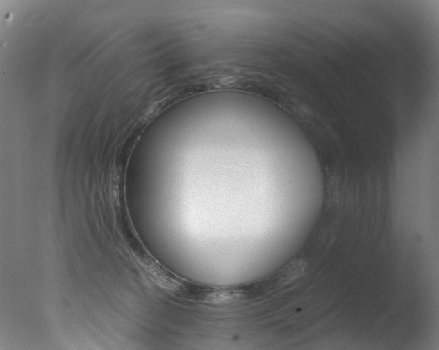X0000078000274200610271020