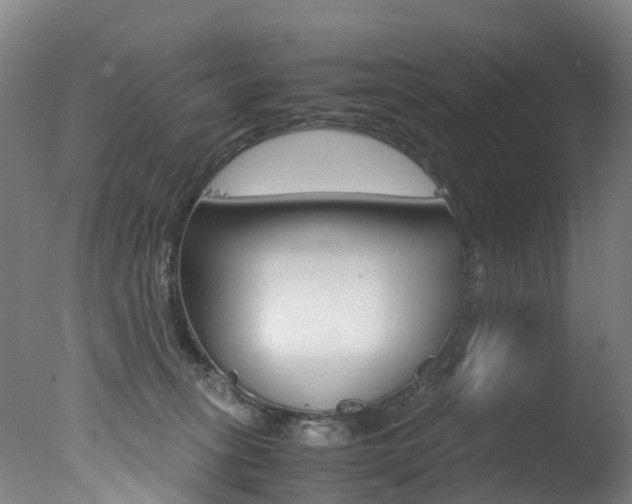 X0000078000275200610271020