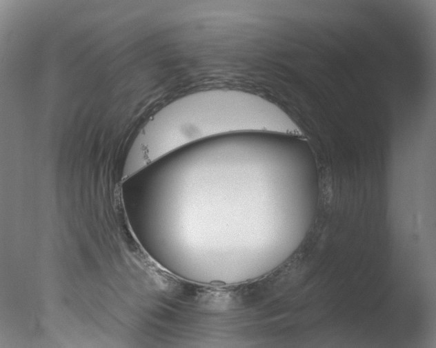 X0000078000276200610271020