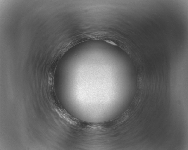 X0000078000284200610271021